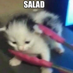 Meet your Posher, Katie